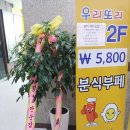 또리분식 이미지