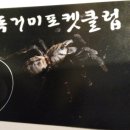 신촌당구장 이미지