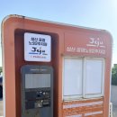 성산농장 | 아뽀밍고 성산일출봉 근처 카페 오션뷰와 애플망고라떼 추천 후기