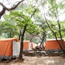 서울대공원 캠핑장 이미지