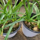 튼튼이농장 이미지