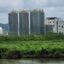 대건목장 이미지