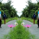 회성동240 이미지