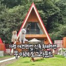 도그라운드 | 가평 애견펜션 무아레 도그라운드 인피니티풀 독채펜션