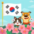 오션동물병원 이미지