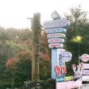 백곡낚시터 이미지