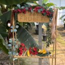 달성농장 | 대구 근교 다하와 농장 팜투어 프루떼 5세 아이 영어체험 후기