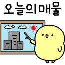 매교역집(031.236.6060)공인 이미지