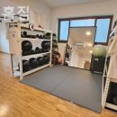 언니네 헬스장 이미지