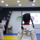 감사랑태권도교육관 이미지