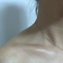파우젠 네이버블로그