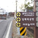담뿍사회적협동조합