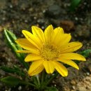 오늘더예뻐 이미지