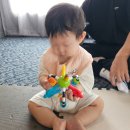 재미난수족관 | 아기랑 해외여행｜10개월 아기 오키나와 여행 (5) 태풍 속 둘째 날 & 츄라우미 수족관