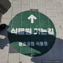 초은초등학교 거울공원 남측 | 포항 여행 2일차 - 가족과 함께 가면 좋은 곳 포항 핫플 환호공원 식물원, 포항제빵소(로스터리맨 카페)