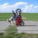 보명목욕탕 이미지