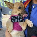 칠성건강원 - 고창군 명동1길 7-1 | 칠성건강원