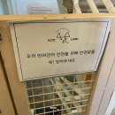 애코랜드 이미지