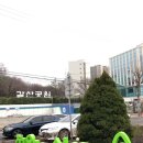 그린 숲