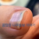 2층 초록약국 이미지