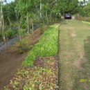 수필농장 이미지