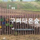 구미숲 이미지