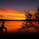 필메디케어 이미지