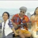 마로니에3 이미지