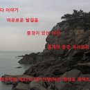 2/4(토) 홍제산악회 제63차 정기산행(태안의 학암포 해벽트레킹) 공지 이미지