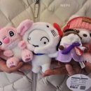 캐치팡팡 이미지