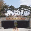 주식회사 우금 네이버블로그
