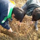 효동농장 이미지