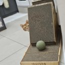 울산 쉼표동물병원 이미지