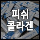 천연채 저분자 피쉬콜라겐 펩타이드