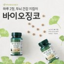 징코바이오 이미지