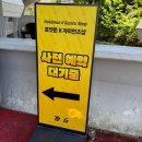 사직야구장 111블럭 시야 | 올드 블랙, 챔피언 홈 어센틱 &amp; 피카츄 유니폼 사이즈 후기