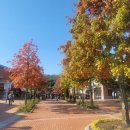 (유)구룡 | 10월 27일부터 31일까지 큰 돈 쓰지 않아도 감성을 채우는 가을 일상