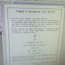 조아옷수선 | (15주~16주) 랑니랑 함께하는 일본여행과 2차 기형아검사,,그리고 성별발표