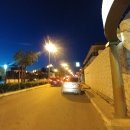 장미여인숙 이미지