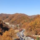 좌구산 캠핑공원 이미지