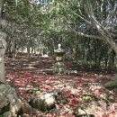 강진 바스락길 이미지