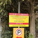 오드랑 베이커리 함덕점 주차 및 마농바게트 후기