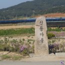 신용반점 이미지