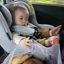 팡드팡 황금점 이미지