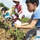 김상경 농장 이미지