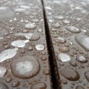 서석식당 이미지