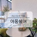 논현1-110 | 강남 신논현 미용실 어몽헤어 김정우 디자이너 클리닉 후기