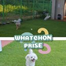 왓숑커피