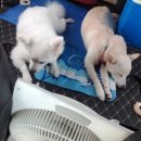 그리향 펜션 이미지