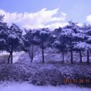 통영 한려수도 바닷물(海水) 수송작전. 이미지